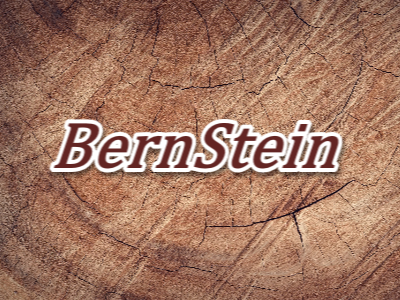 バーンスタイン（Bern Stein）ピアノの買取りについて